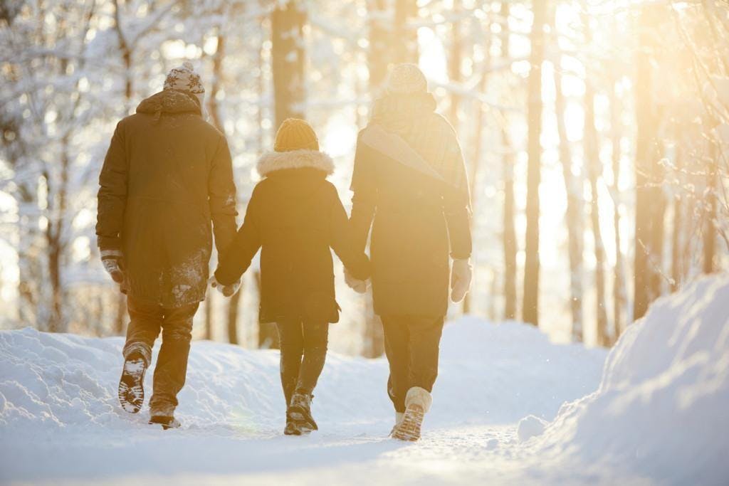 Back view portrait of happy family holding hands enjoying walk in winter forest lit by sunlight