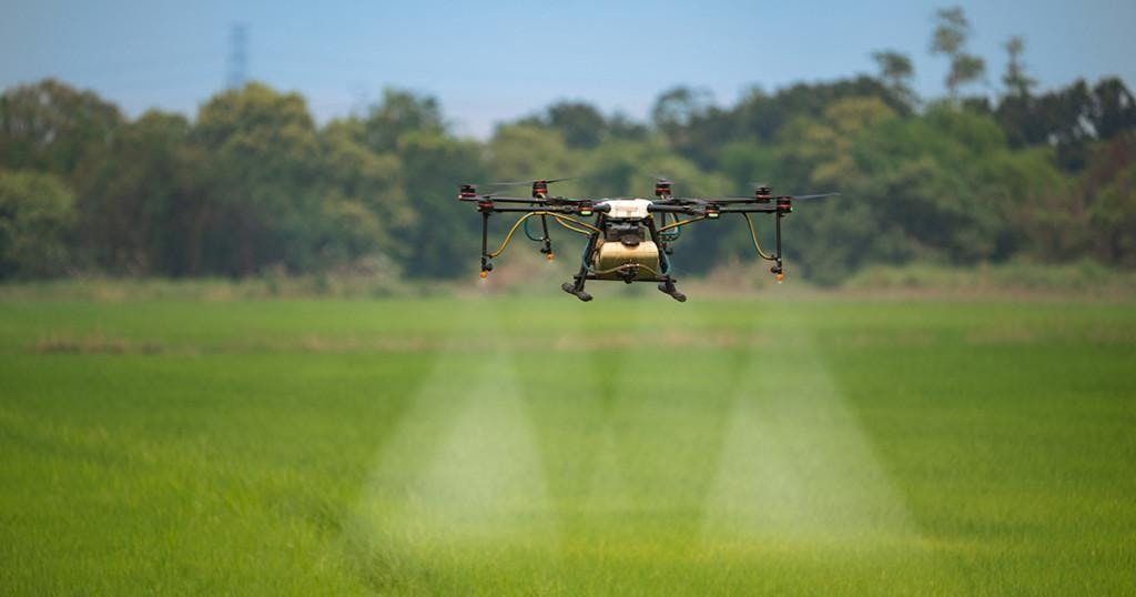 Agriculture drone spraying fertilizer on  rice fields